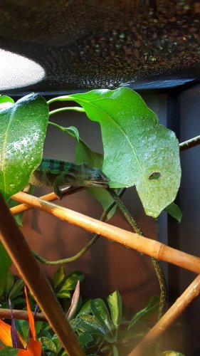 20160306_185125.jpg