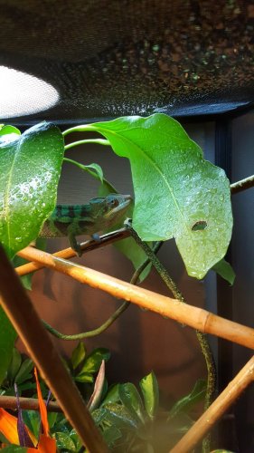 20160306_185142.jpg