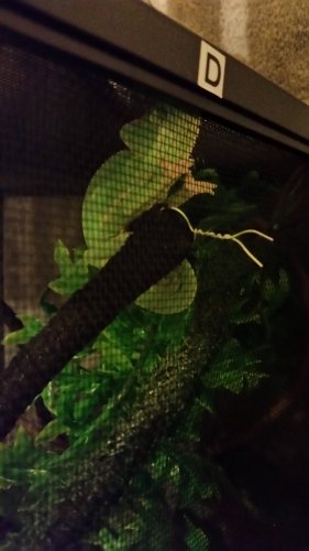 20160308_222119.jpg