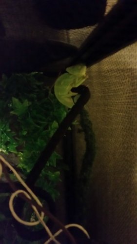 20160309_020046.jpg