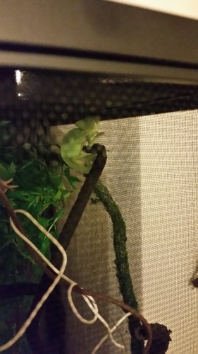 20160309_020121.jpg
