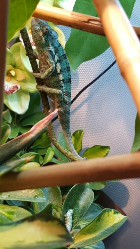 20160212_201455.jpg