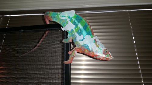 20160310_100129.jpg