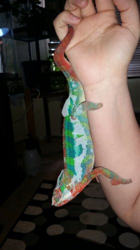 20160310_101853.jpg