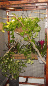 new enclosure.gif