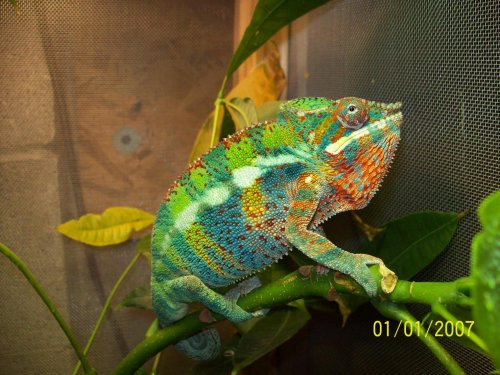 100_0430.jpg