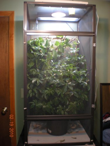 Blue Bar Mottled 004.jpg