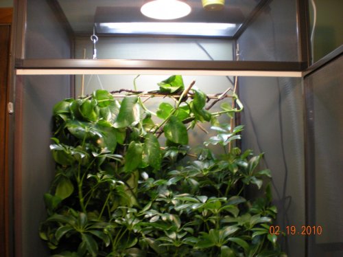 Blue Bar Mottled 005.jpg