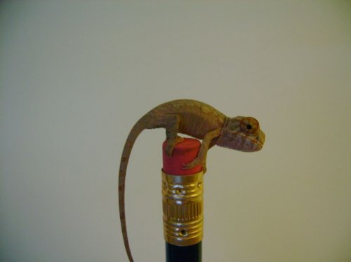 121907 013 [Desktop Resolution].jpg