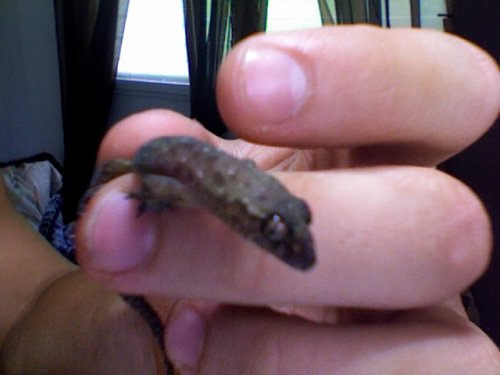 Photo 128.jpg