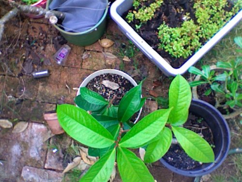 Photo 132.jpg