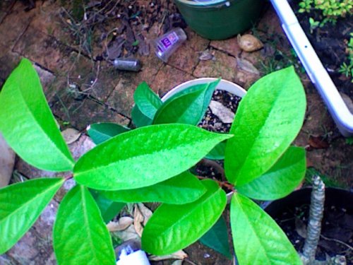 Photo 135.jpg