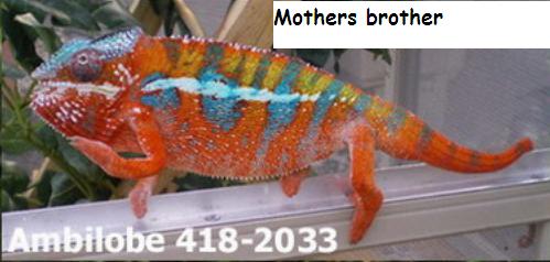females brother.jpg