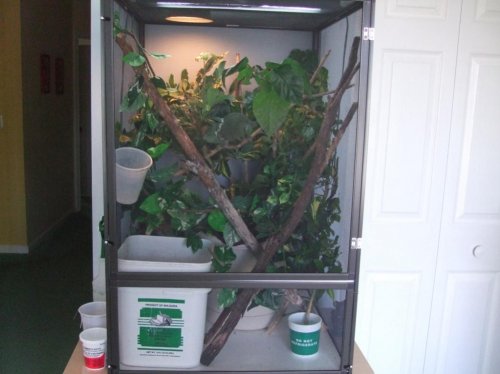 Clea pics 2-7-10 014.jpg