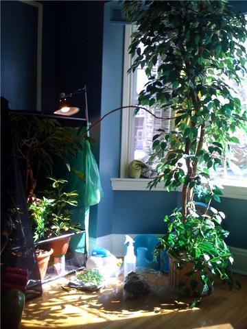 leilas playground.jpg