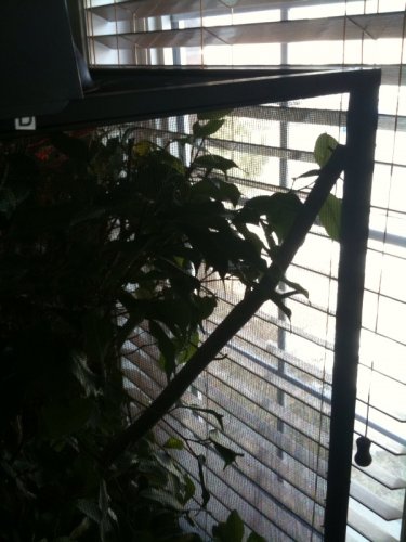 photo 5.jpg