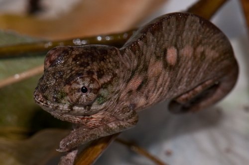 20100305-DSC_9808.jpg