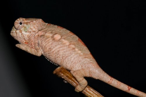 20100305-DSC_9825.jpg
