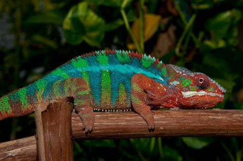 DSC_2840.jpg