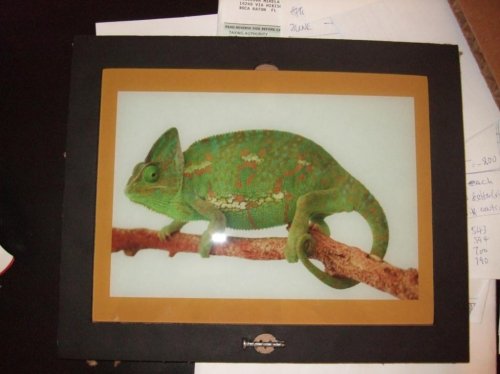 Clea pics 2-7-10 021.jpg