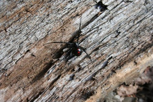 Aug_2007 047-mod.jpg.jpg