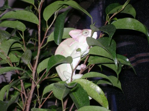 DSC01140.jpg