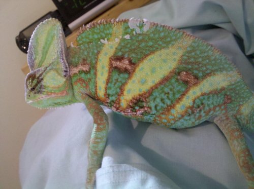 cell phone images 001.jpg