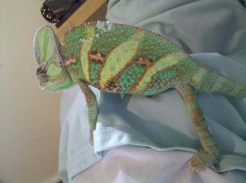 cell phone images 002.jpg