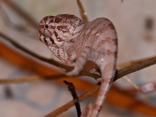 20100313-DSC_3605.jpg