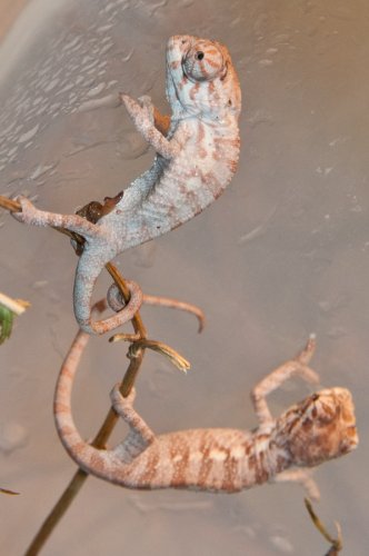 20100313-DSC_3617.jpg