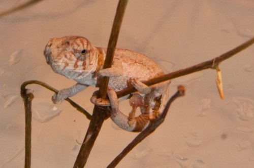 20100313-DSC_3619.jpg