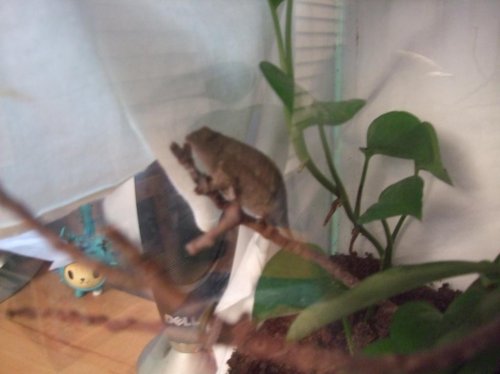 Clea pics 2-7-10 027.jpg