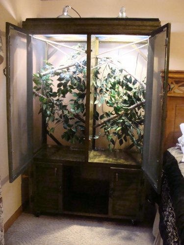 The Girls & Reptile cage 087.jpg