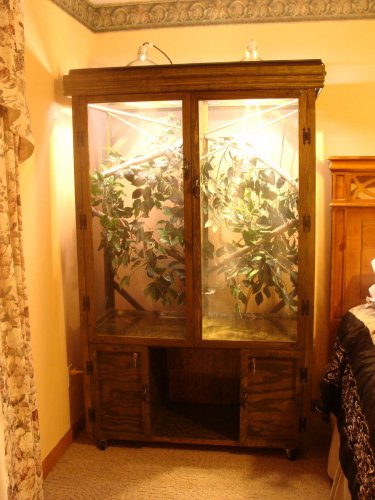 The Girls & Reptile cage 083.jpg