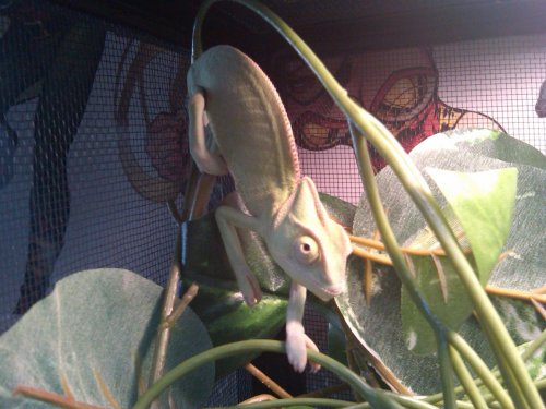 IMG00004-20100315-1057.jpg