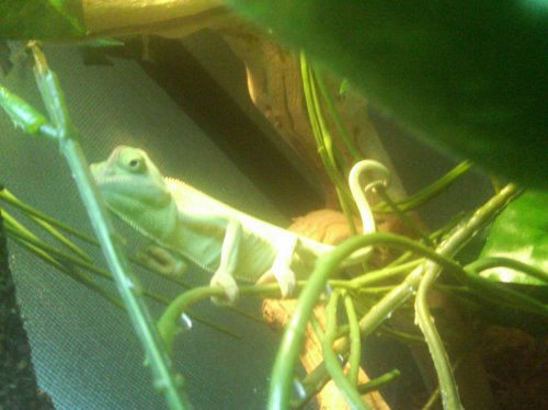 IMG00008-20100318-1832.jpg