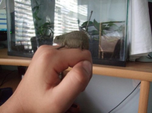 Luna 3-22-10 002.jpg