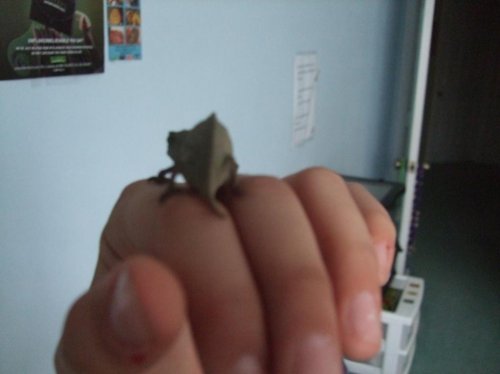 Luna 3-22-10 003.jpg