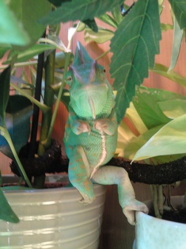 Put em up P22-03-10_16.10.JPG