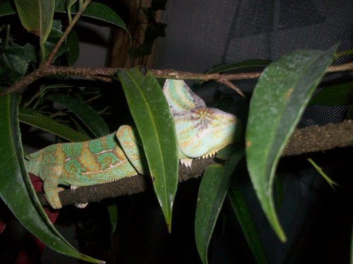 ZZZZZ 003.jpg