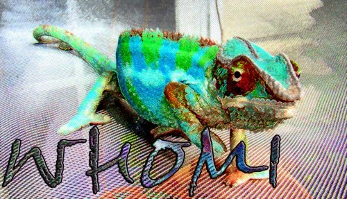 whomi copy.jpg