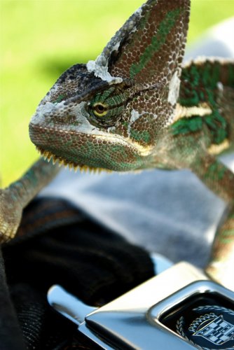 DSC_0060_2.jpg
