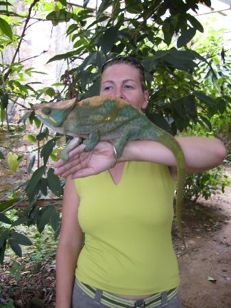me-with-big-chameleon.jpg