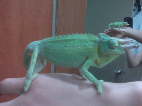 IMG00515.jpg