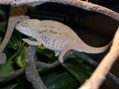 100_1208.jpg