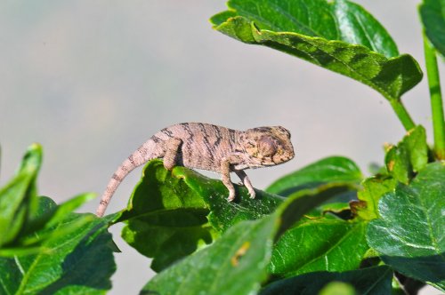20100327-DSC_4143.jpg