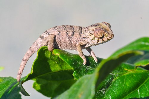 20100327-DSC_4148.jpg