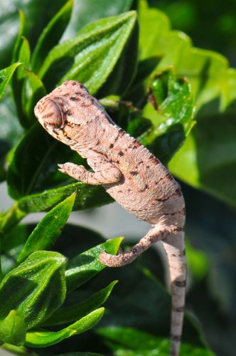 20100327-DSC_4161.jpg