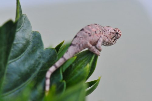 20100327-DSC_4171.jpg