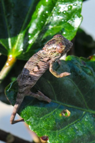 20100327-DSC_4175.jpg